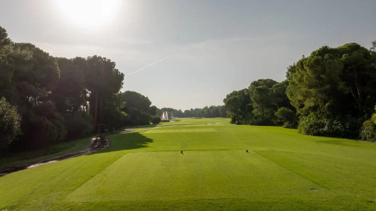 The view from the tee down a pine-lined Montgomerie fairway