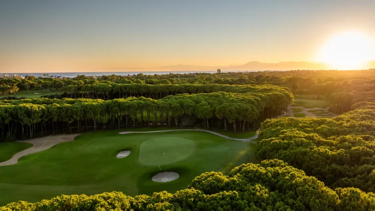 The Belek pine belt running down to the sea at sunset, from above the Montgomerie